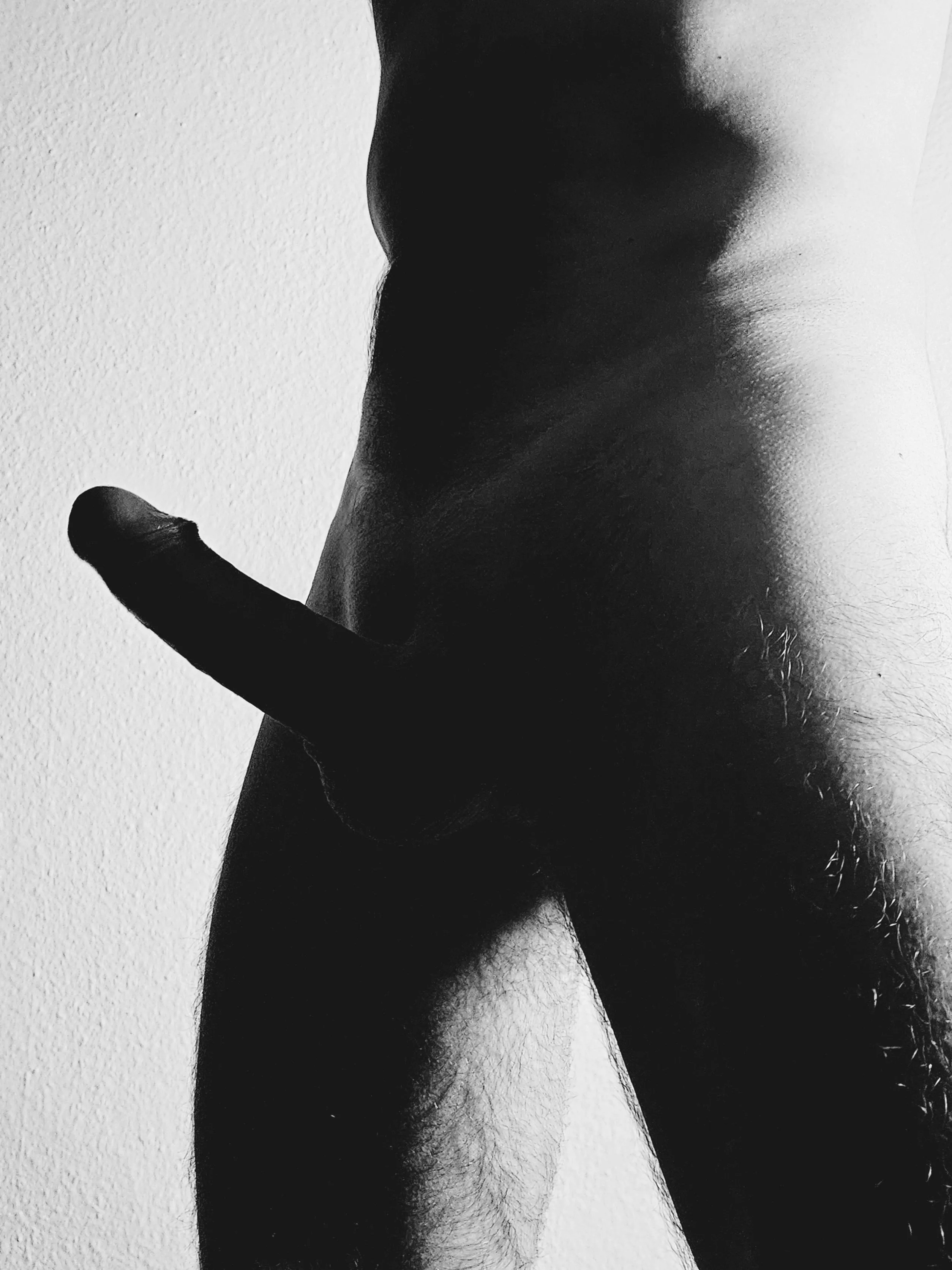 there is something about silhouettes