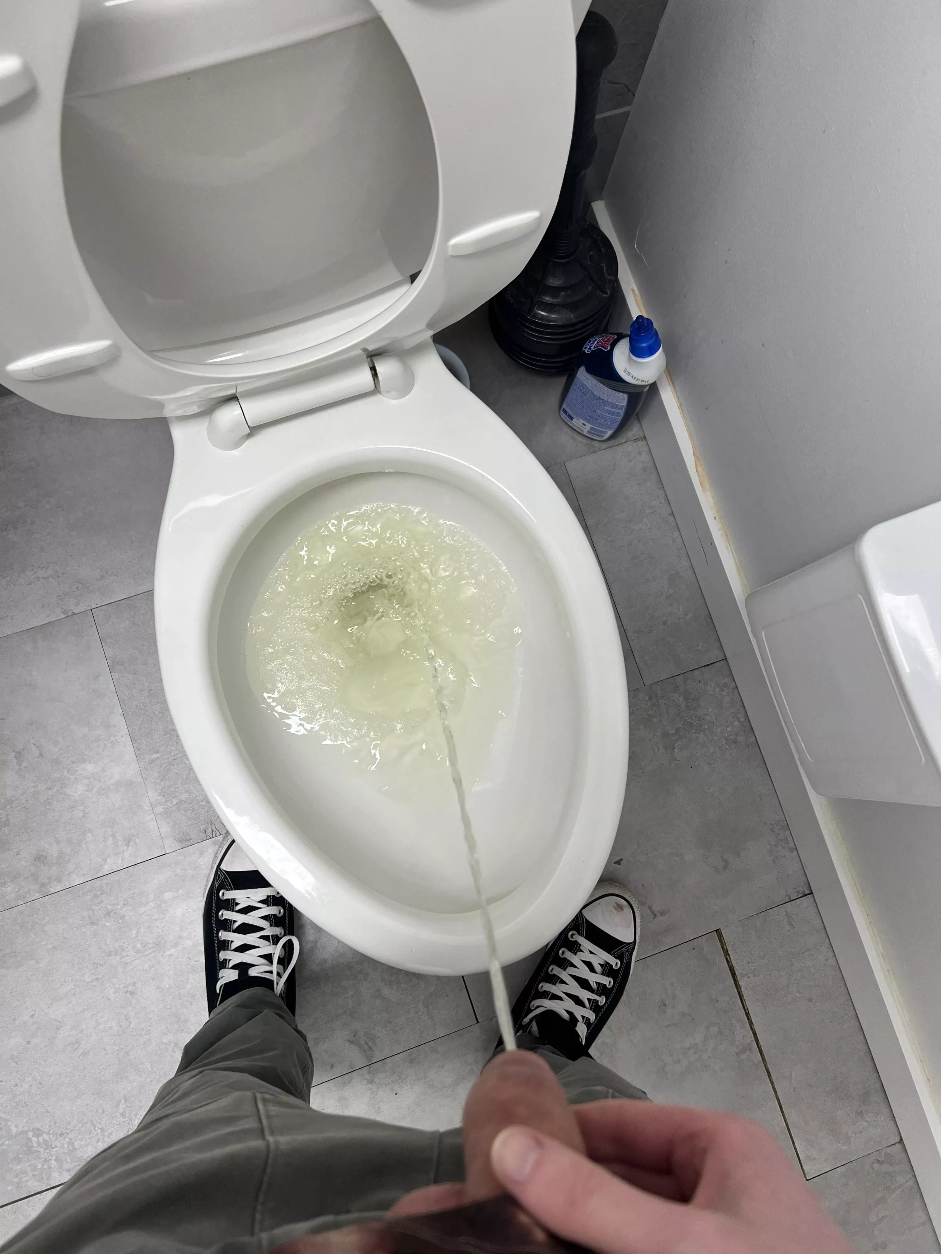 Wanna replace the toilet?!