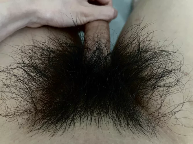 Who else has a huge pubes fetish?