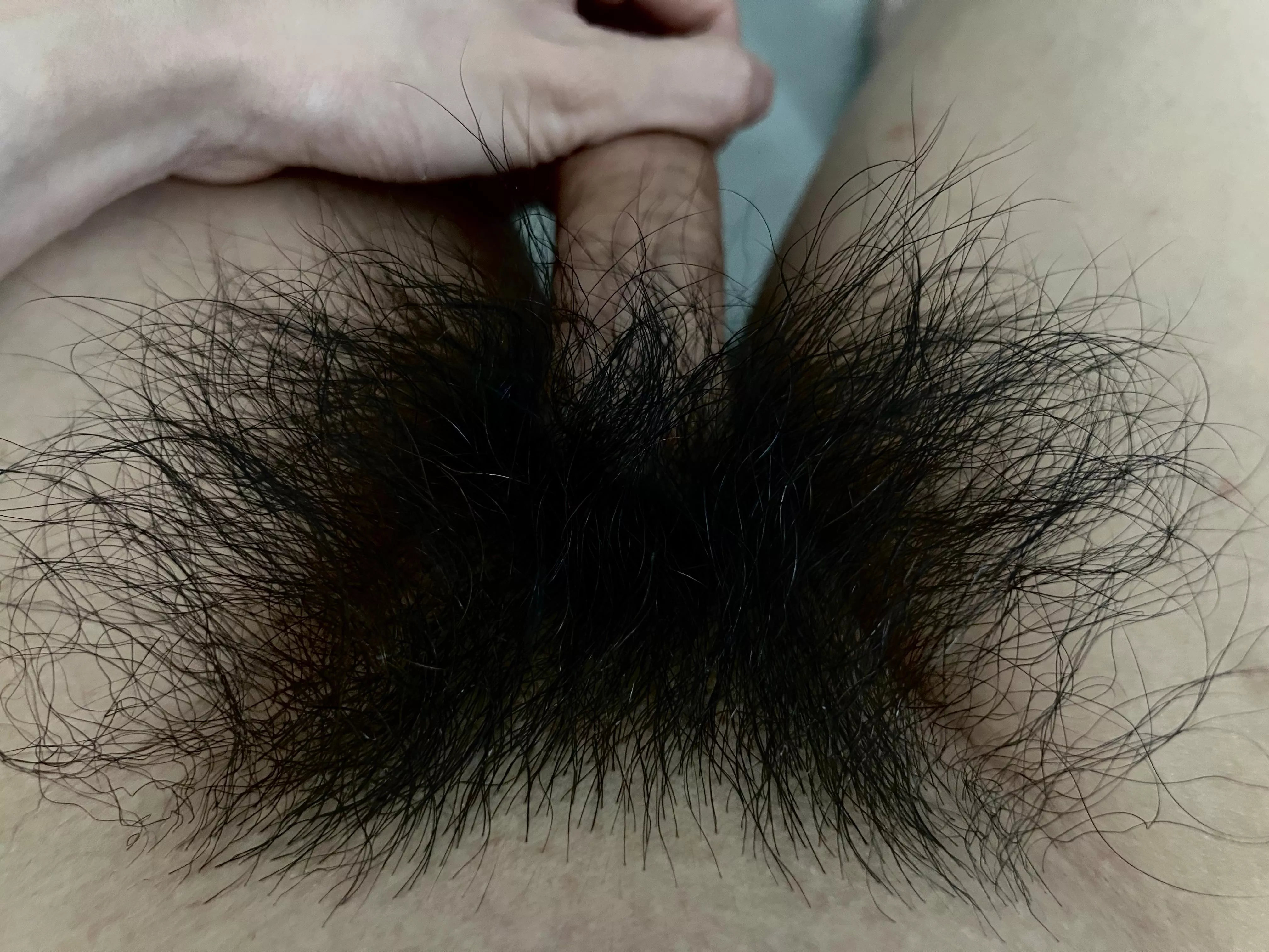 Who else has a huge pubes fetish?