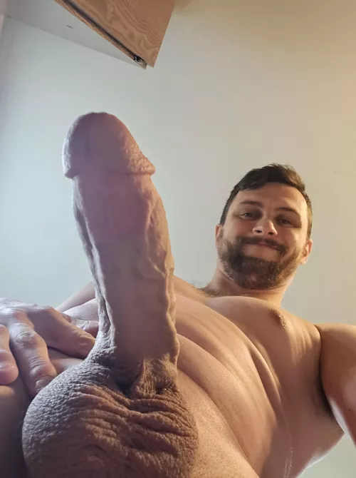 Who wants some company?