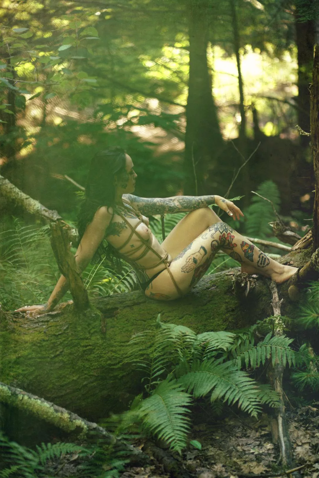 you know how to add ink by adding funds 🤑🤑🤑