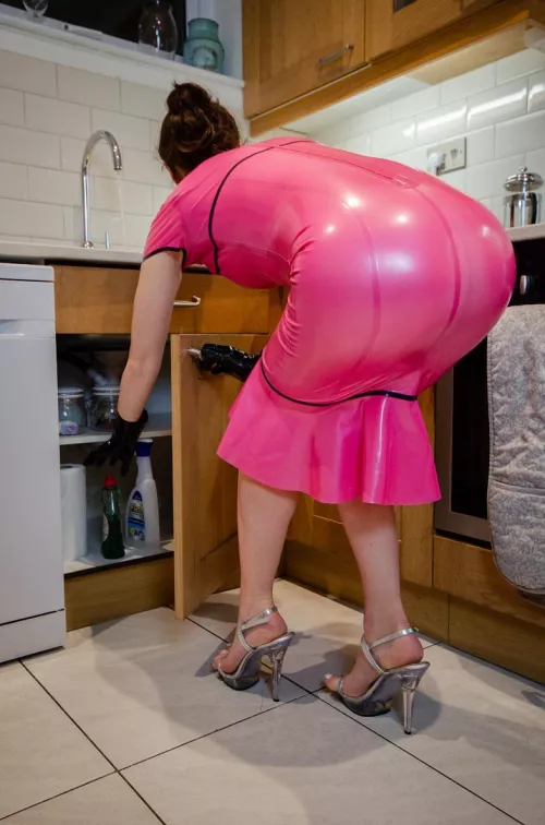 Your shiny domestic slave