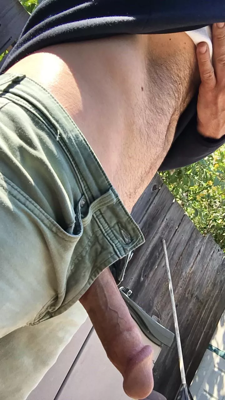 Anyone need a gardener (54)