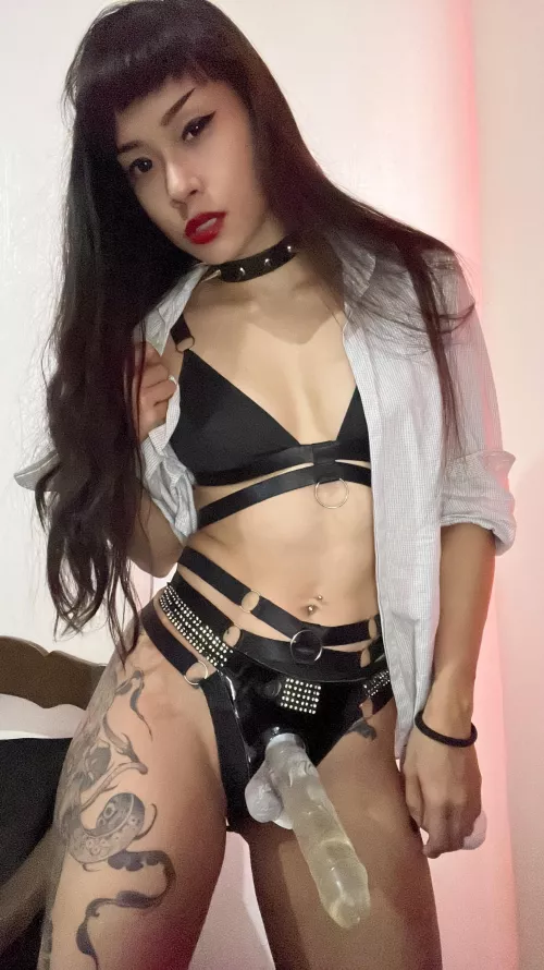 Are you game for a little pegging adventure?