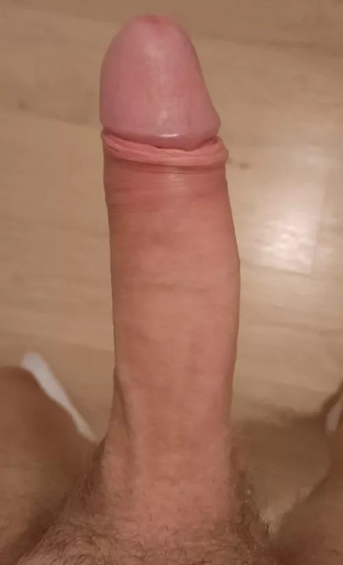 Do you like my cock?
