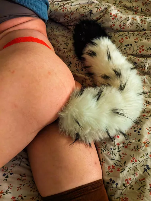 Having a little tail fun tonight 🤭