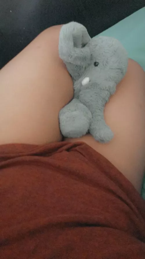 My stuffies shall suffer!!!