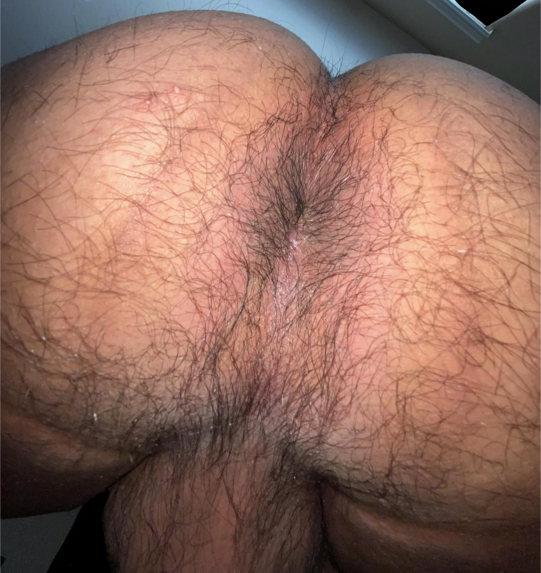 Need a face to sit on