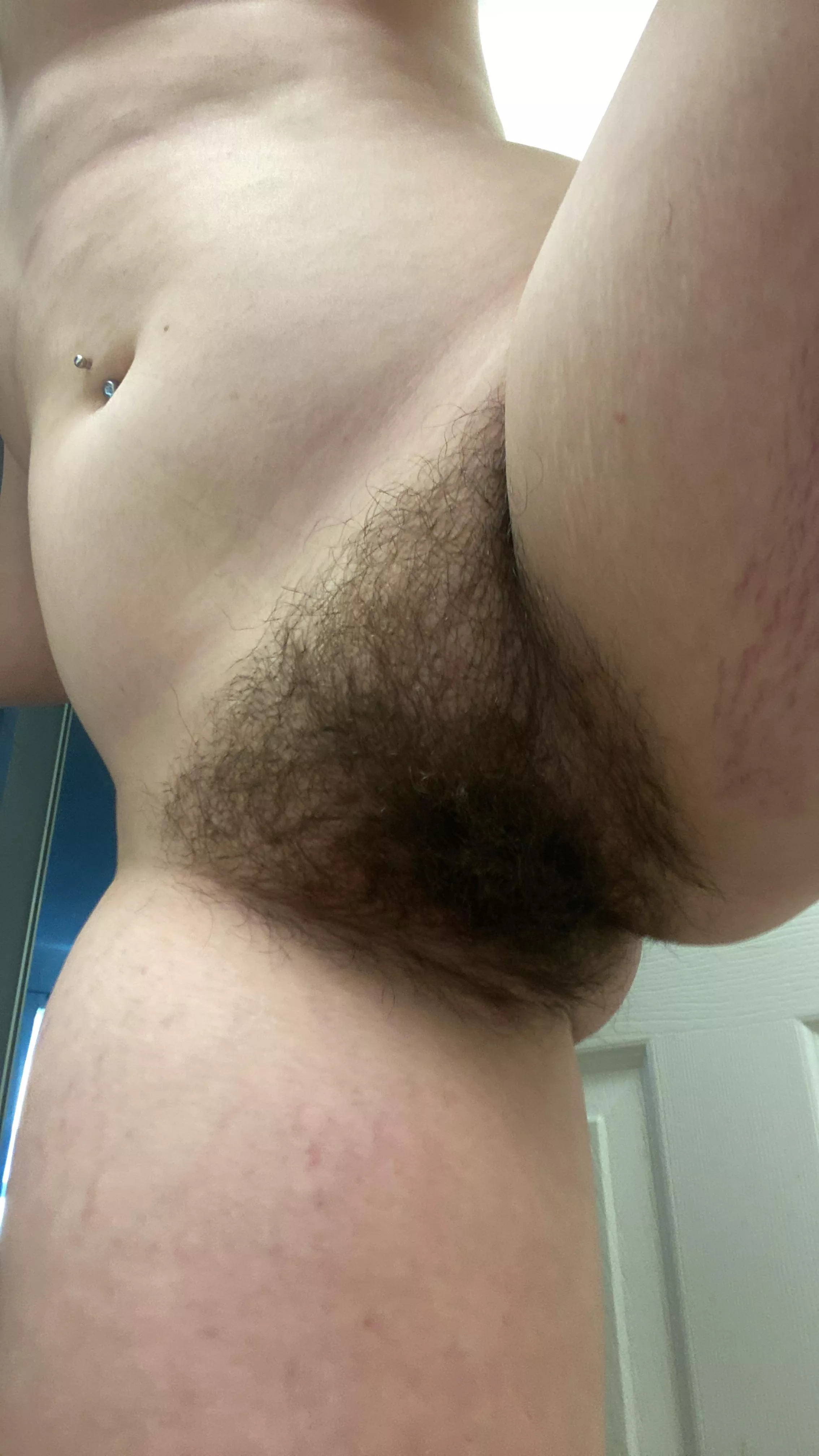 should i trim my bush or keep it full?