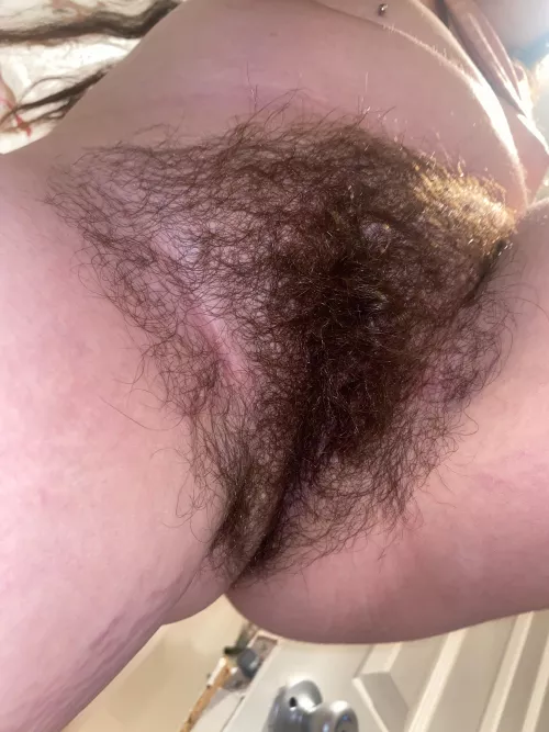 should i trim my bush or keep it full?👀