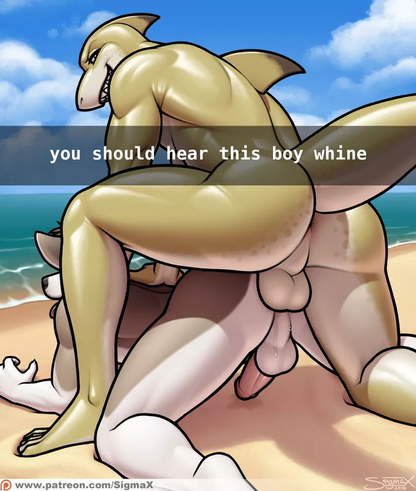 Snapchat shark attack (SigmaX)