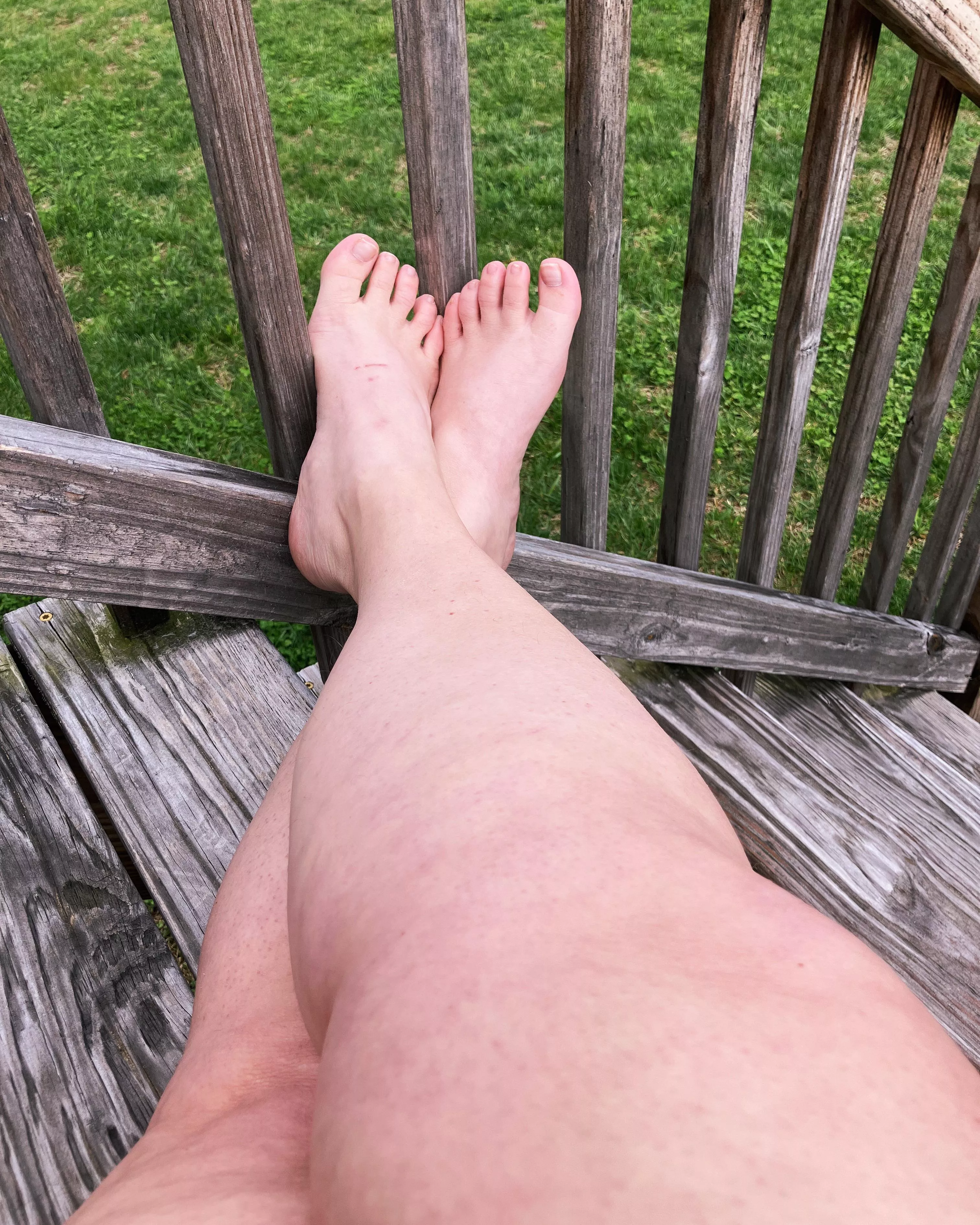 🌼 spring is coming !