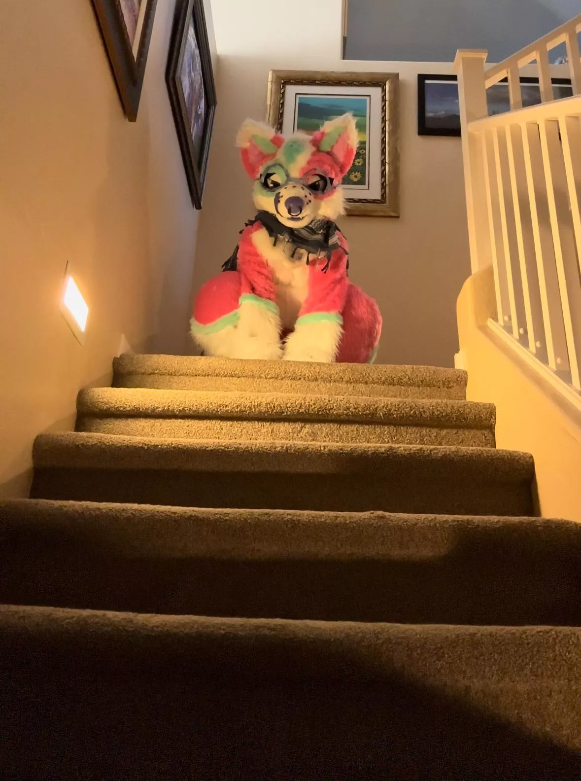 Stairway looks a little jammed today…there’s a gay dog at the top of the stairs.