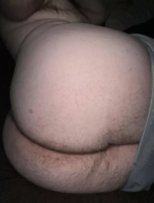 Would you breed a big hairy ass?