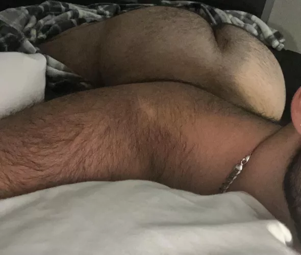 24 in shape discreet Lebanese bottom with a big furry ass. Let’s have fun, 👻Snapp me: AFurFun