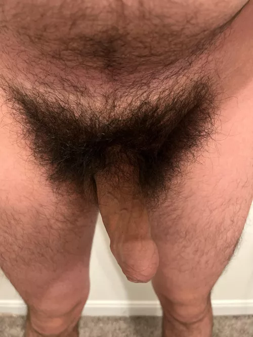 (26) I’ve trimmed a few times before but nothing beats having a nice, hairy cock