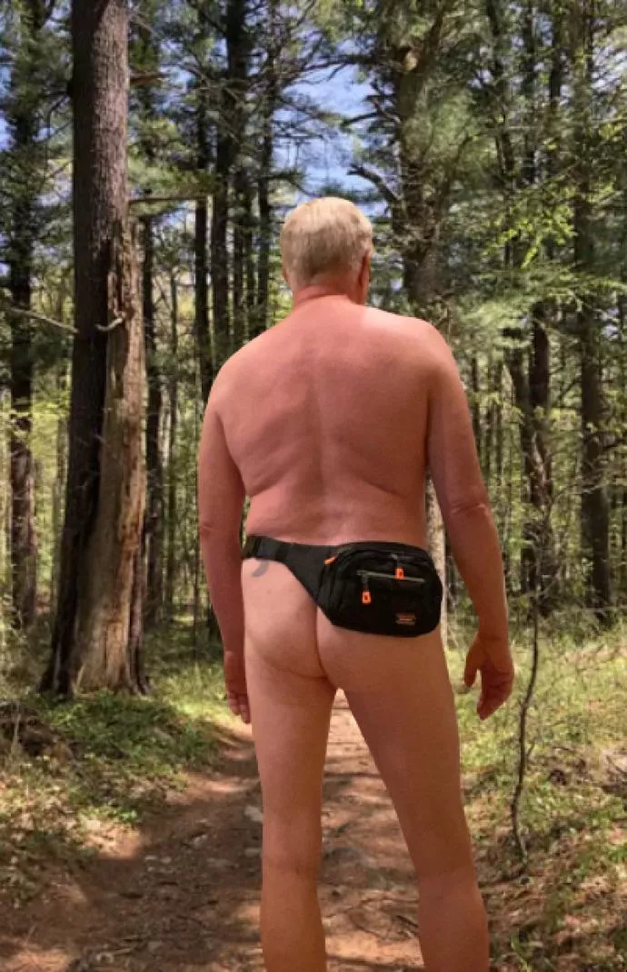 A hike in the forest