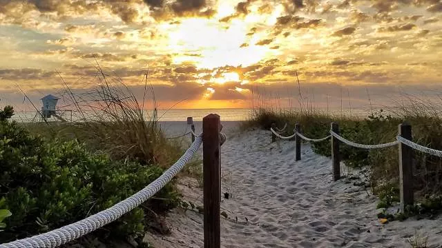 Beaches to Visit in Greater Fort Lauderdale