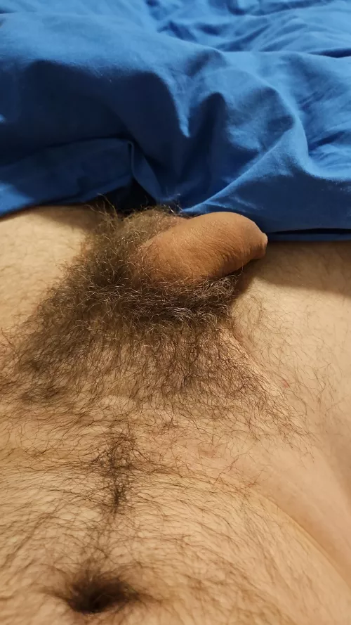 Bush is getting there 