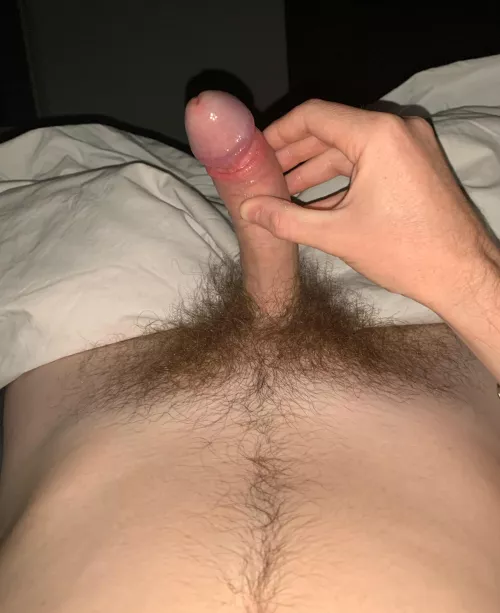 Does my full bush look good