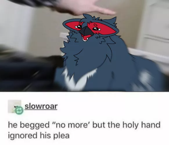 Don't (pet) the cuga.. (By @RuiOnRollers)