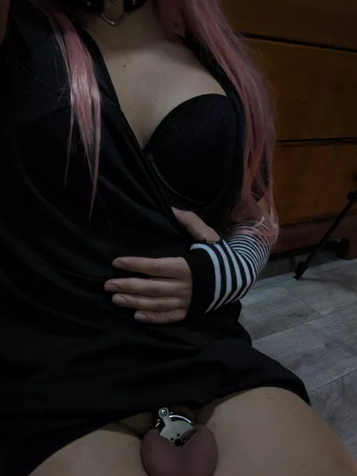 First time showing off my inverted cage