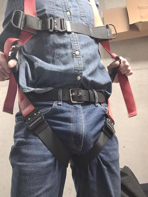 Harnesses don't leave much to the imagination 