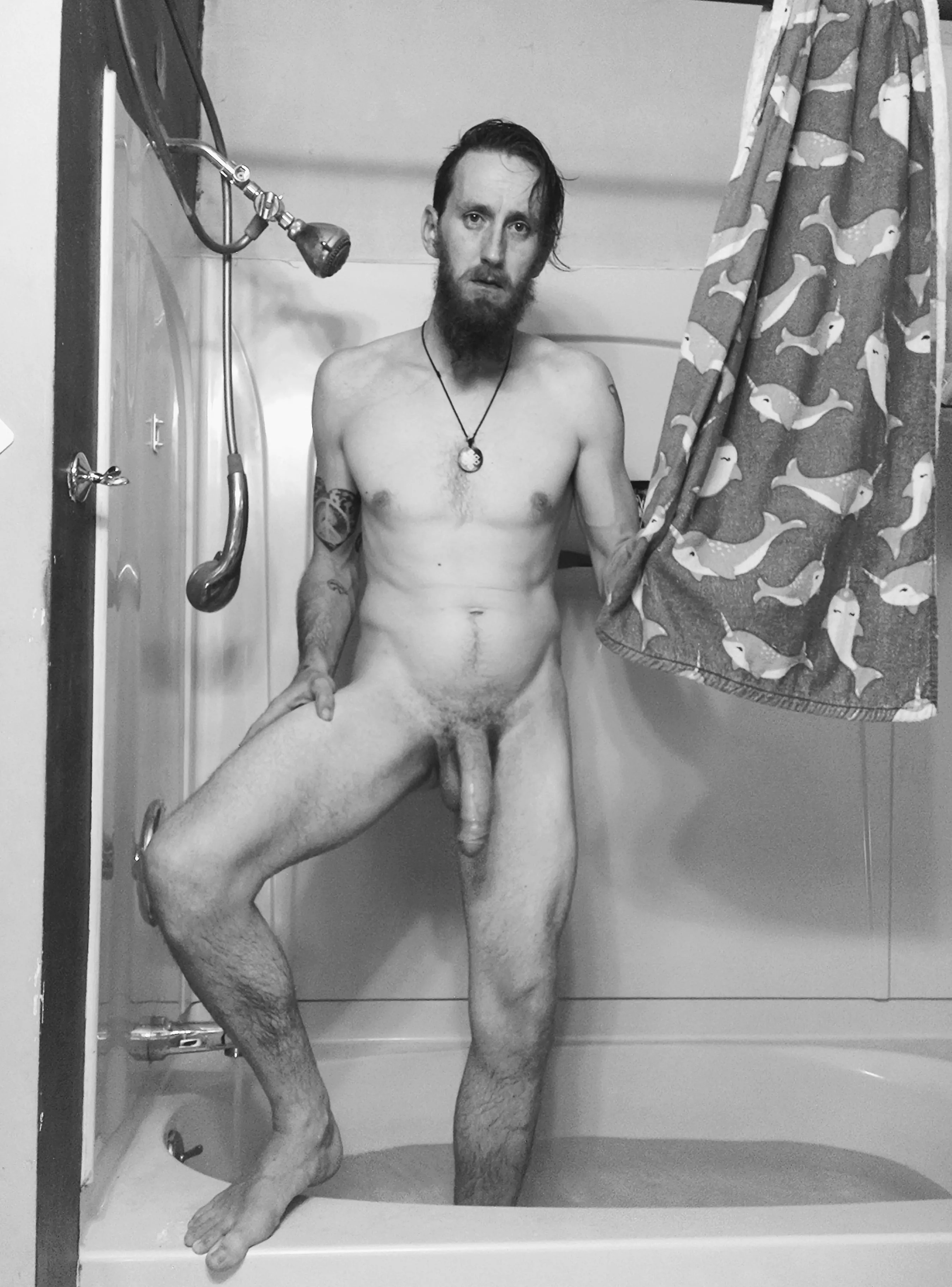 Help save the Narwhals🌊