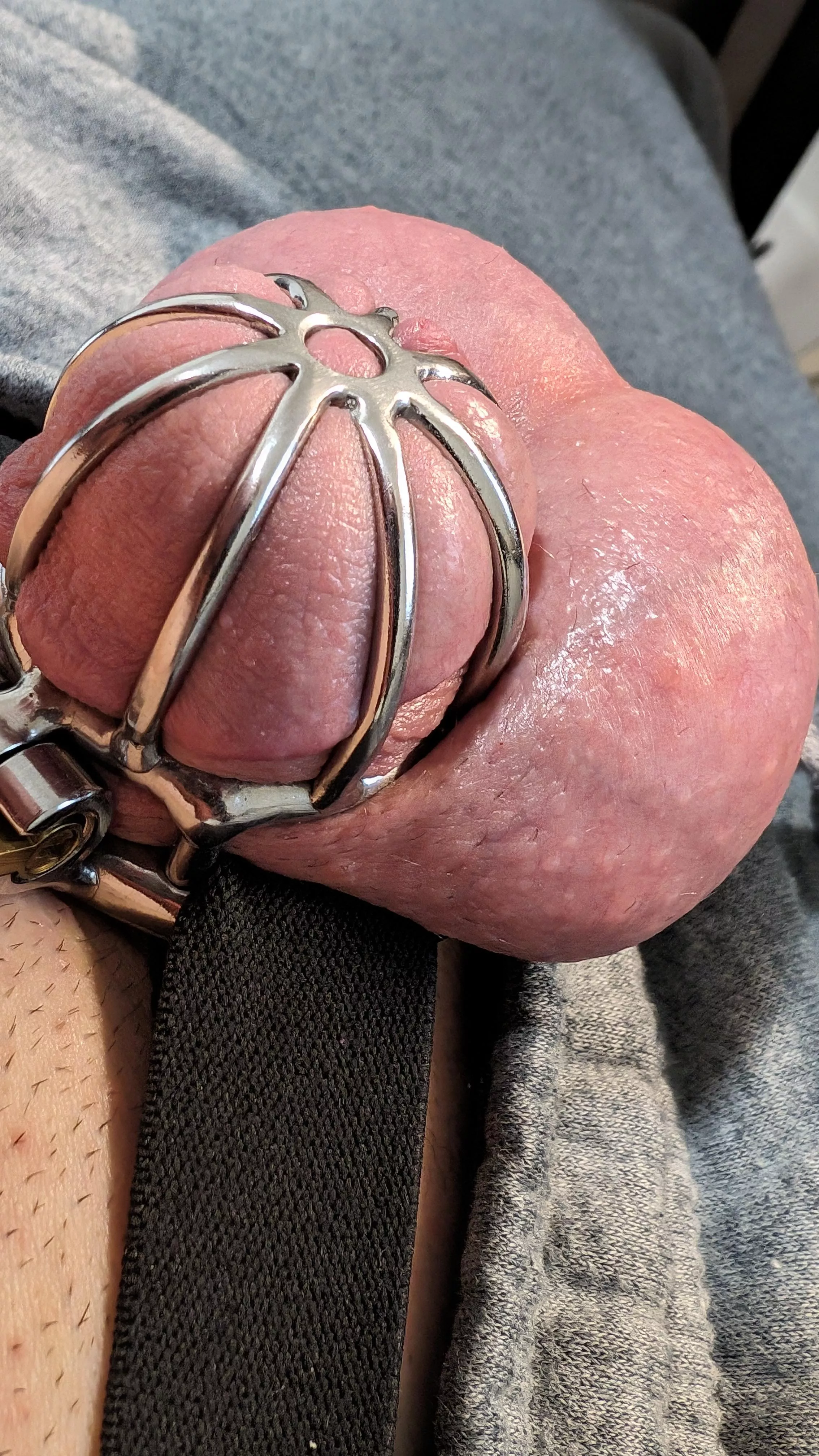 I'm filling every bit of this cage. Should I go smaller? 😏