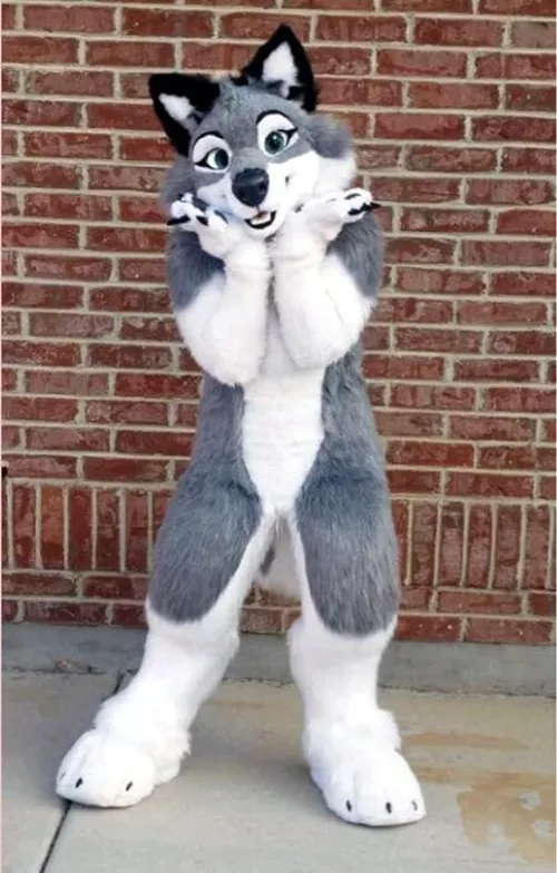 In words and words alone, how would you describe this colouration? I'm writing a story and in my notes I have it as AN-WOLF-STND (anthro wolf standard colours) and I'm really struggling to describe what my character looks like. Something very run-of-th