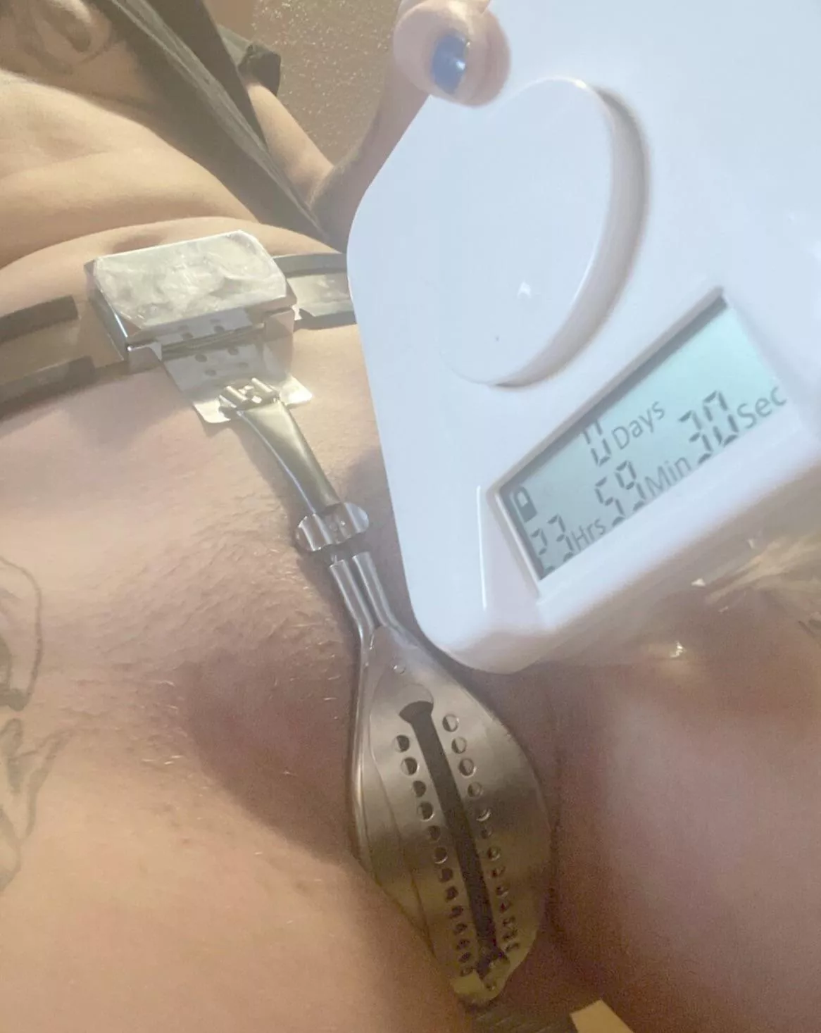 Locked in the lockbox for the night