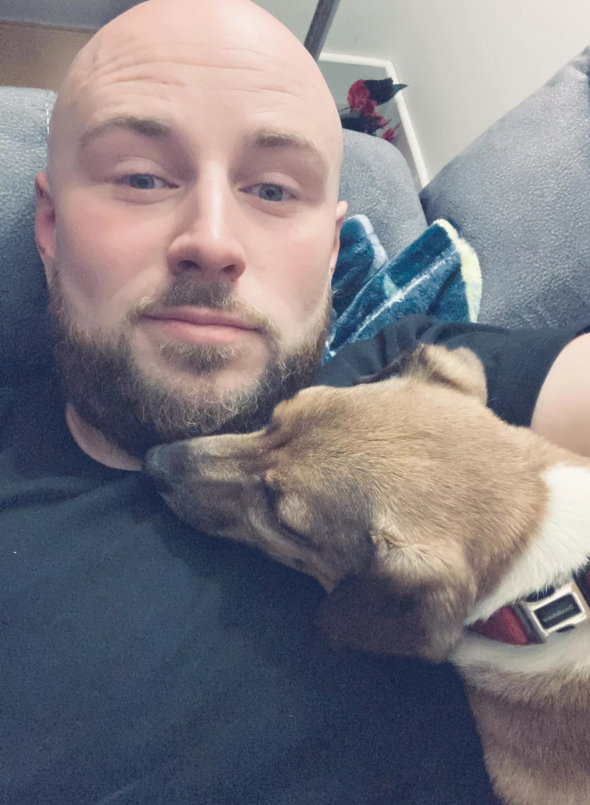 Man’s best friend!  Man’s best friend!