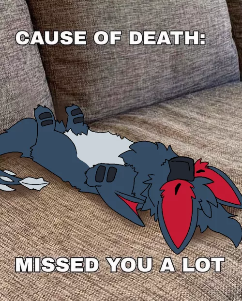 Missed you a lot.. (By @RuiOnRollers)