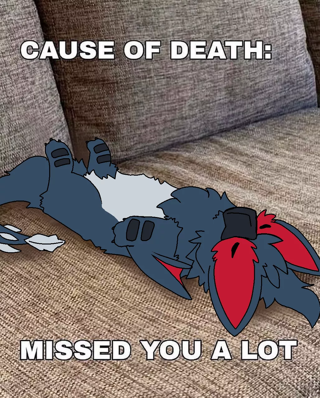 Missed you a lot.. (By @RuiOnRollers)