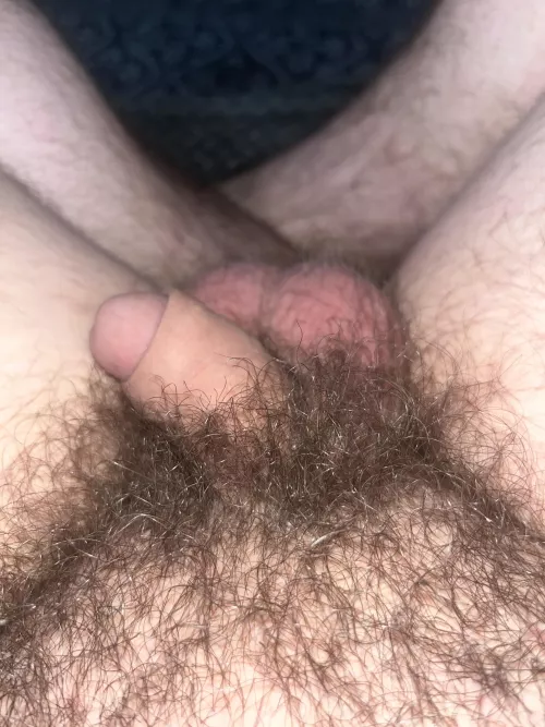 My hair is almost as long as him. Soft as a ☁️ 