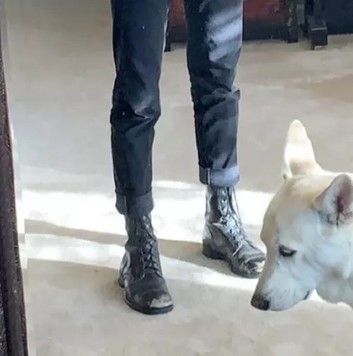 Please recommend me a good pair of combat goods similar to these 