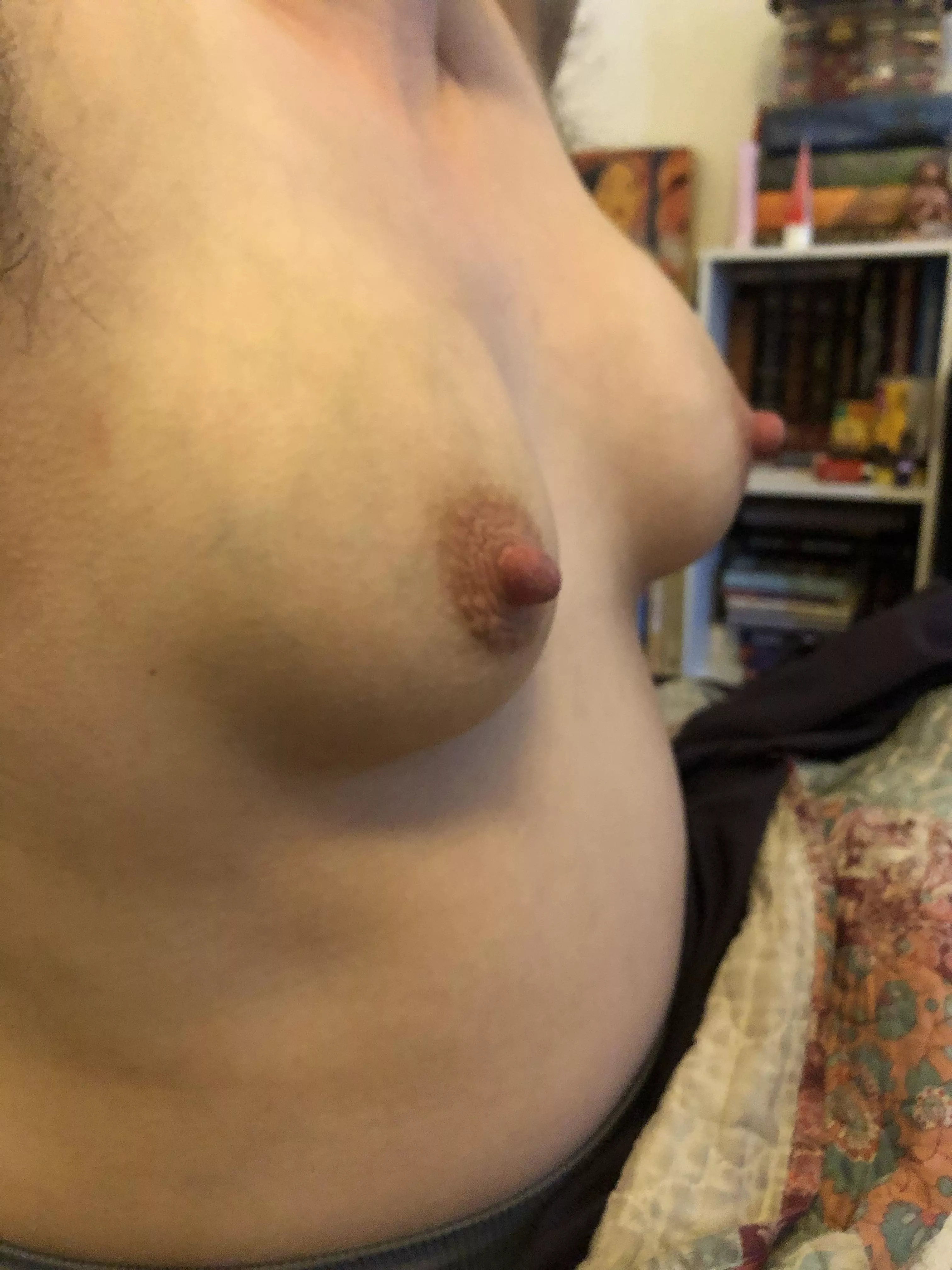 Pregnant nipples