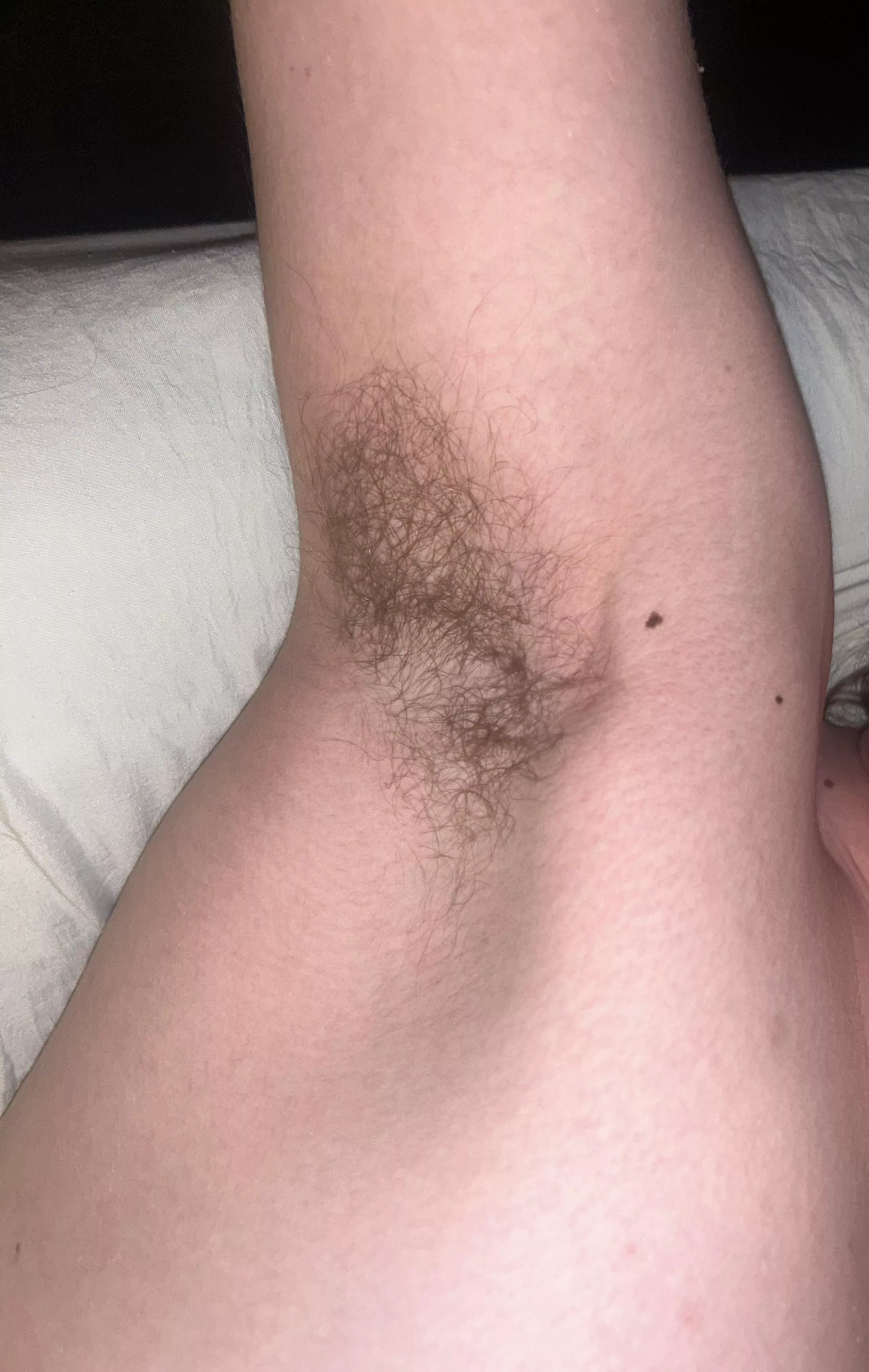 thought you guys might like this