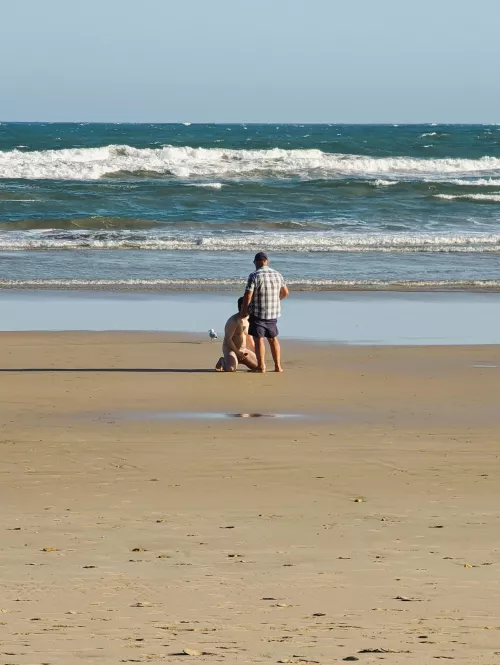Went to a nude beach. Didn't ask for bf's permission. He could only jack in the distance and take pics while I sucked this daddy off. Then went to the sand dunes in private and rimmed a cute otter without my bf knowing. 