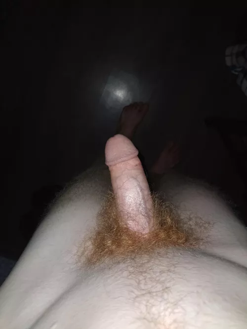 What do you think about my bush 