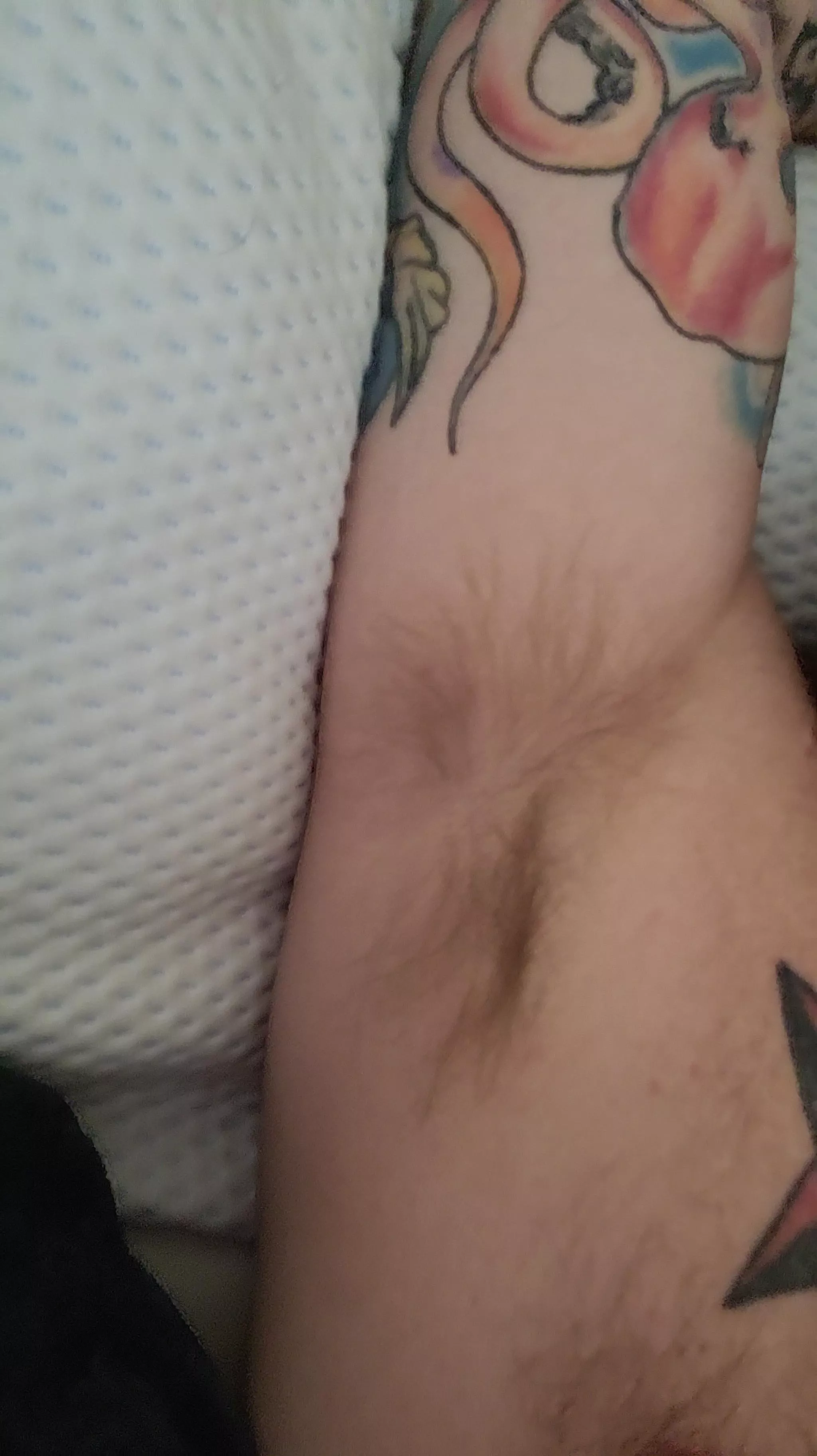 Wish mine was bushier