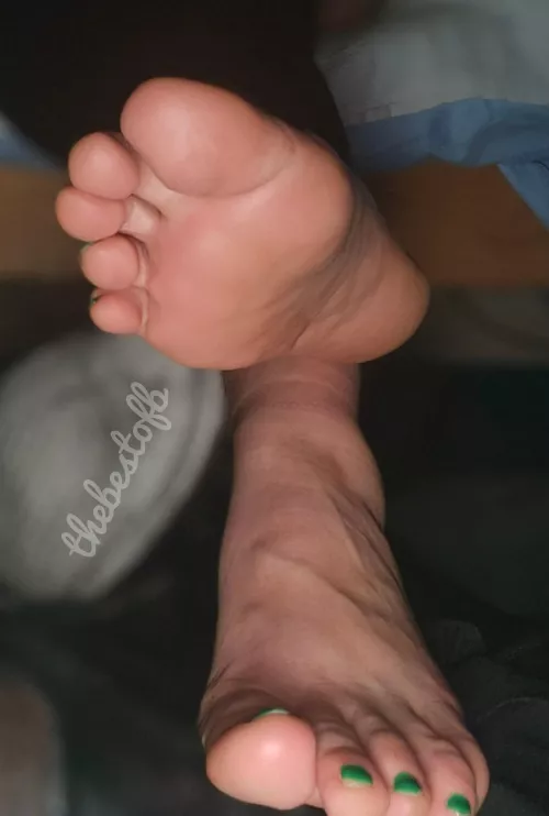 Would these work for your needs?