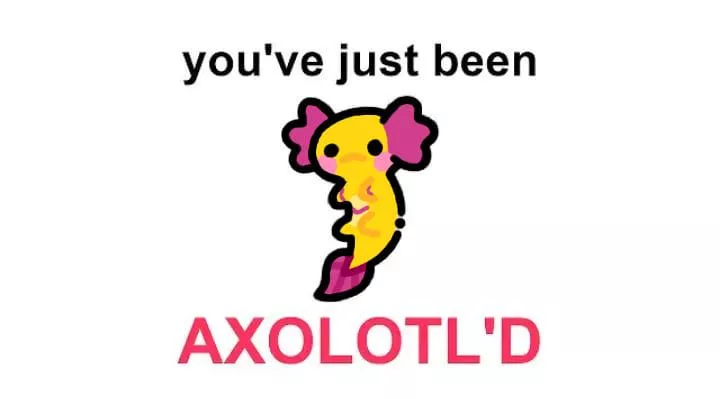 You've just been axolotl'd!