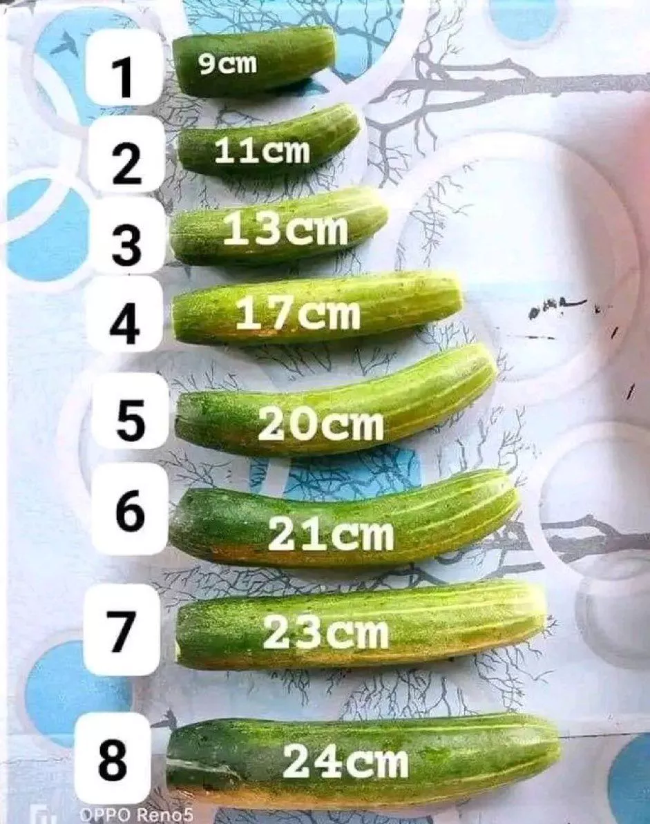 I bet my girlfriend that no one will win the penis comparison