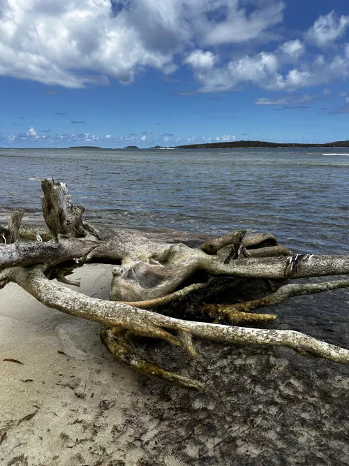 Playa Larga on Culebra Puerto Rico. 