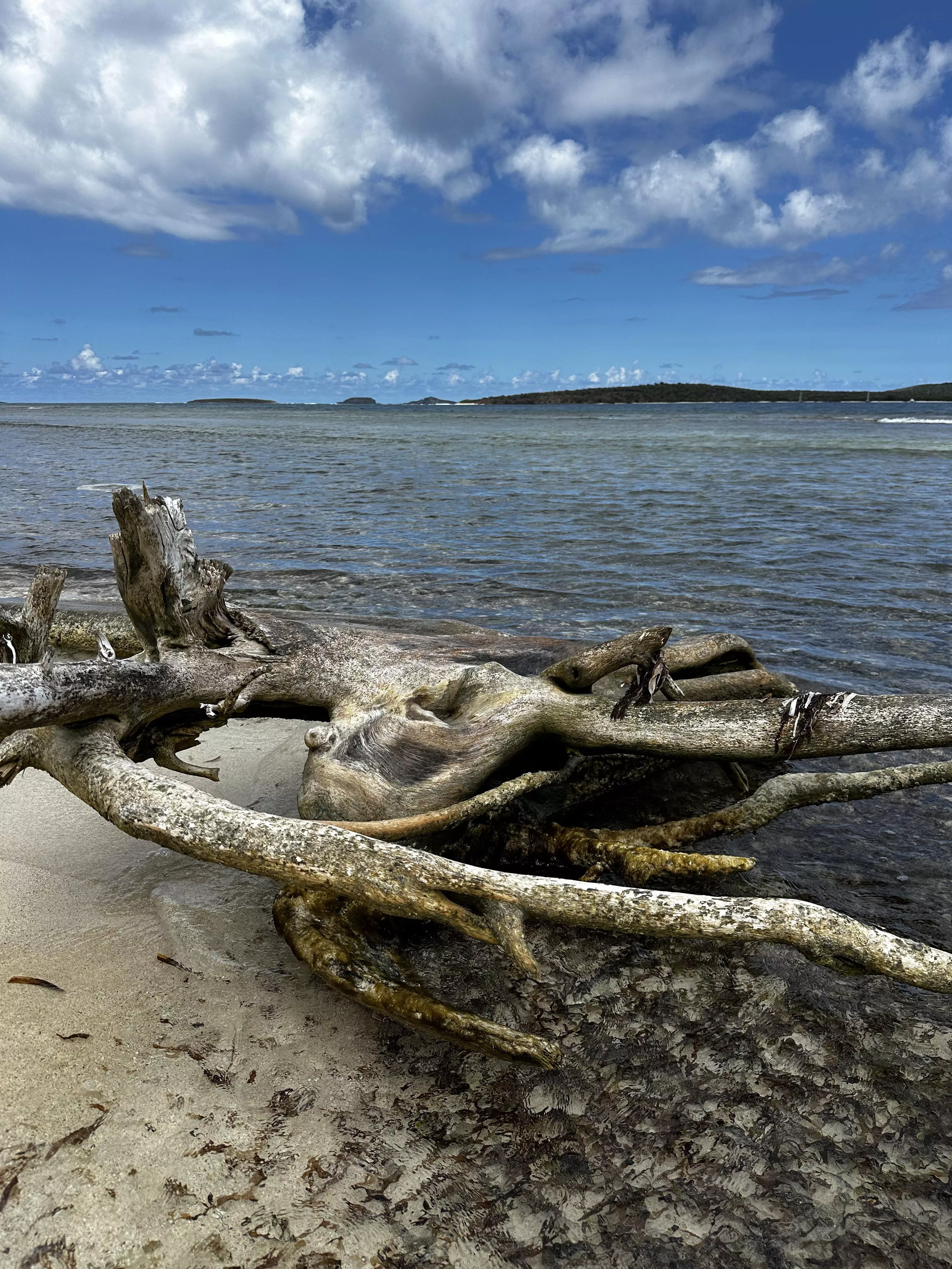Playa Larga on Culebra Puerto Rico. 