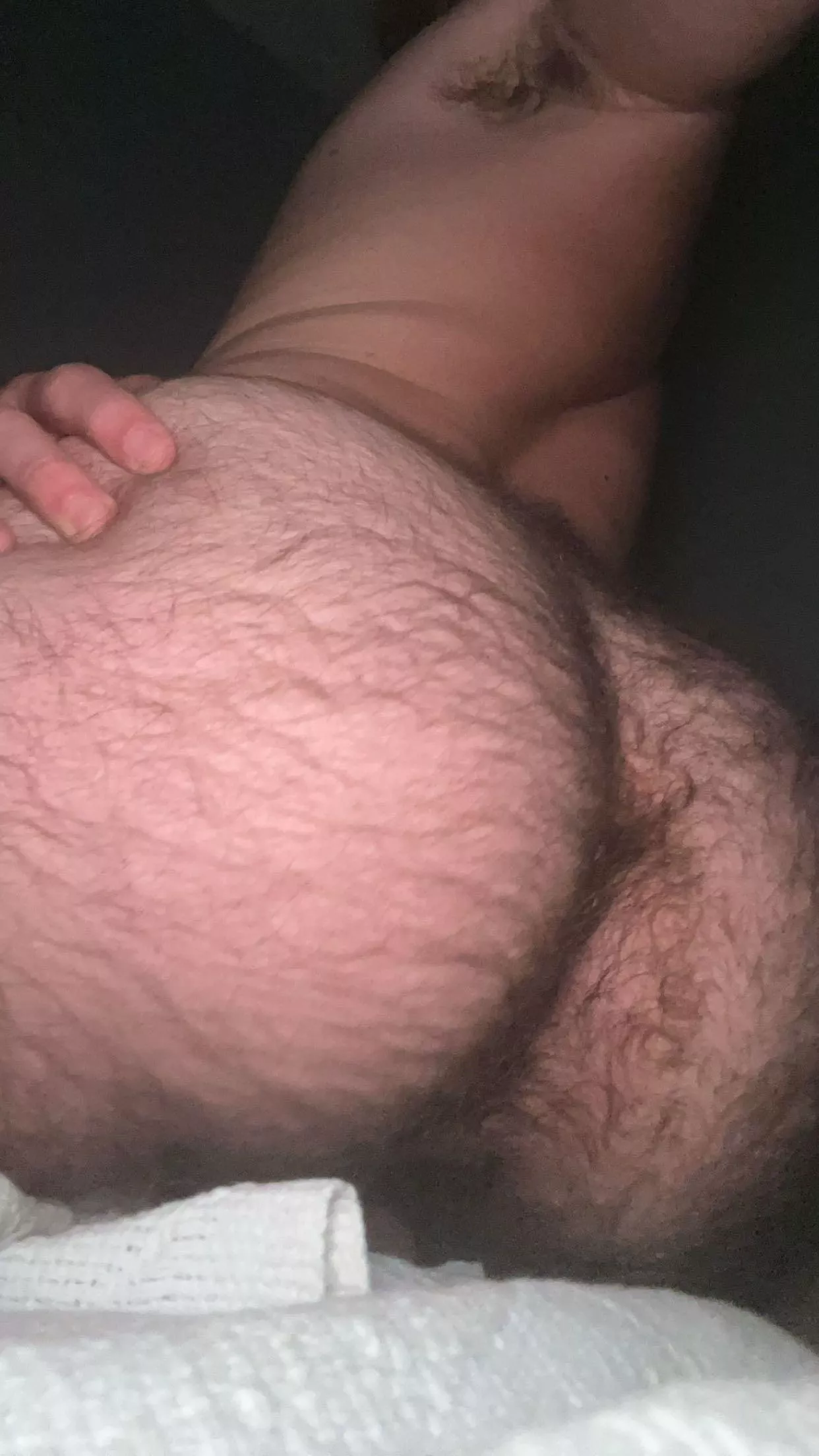 21 m us. horny af, fit, hairy bubblebutt looking for a daddy or older bro. verbal+ sc colson2022996
