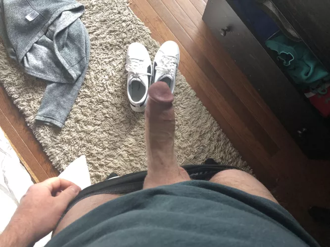 (42) Size 13 dad shoes