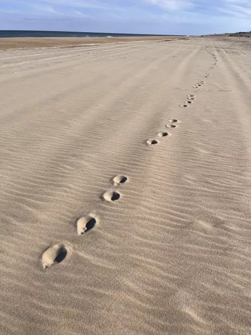 Can anyone help ID these tracks?